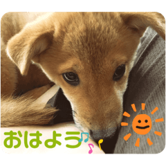 Hikari_20220227144210