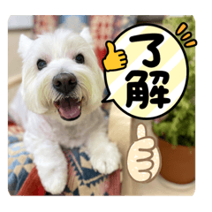 CHIE_20220226200118