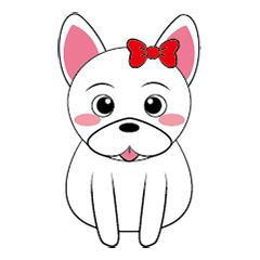 法鬥"傻妞"的日常生活