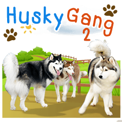 Husky Gang 2 (TH)