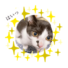 ayumi_20220227162103