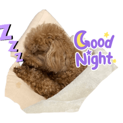 mizuki_20220227162338