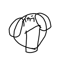 rina_20220227171817