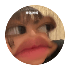 笨狗海狸