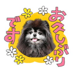 YUKA_20220227200459