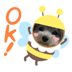 RIROKOchan