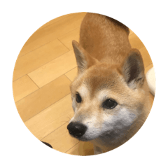 mitsuki_20220227220342