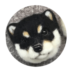 yukari_20220227231959