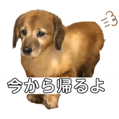 colon stamp.1
