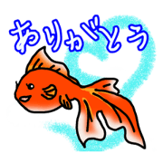 KINTOTO goldfish
