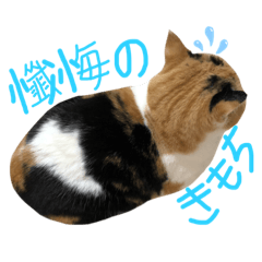 yanagi_20220228111224