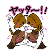 papillon stickers