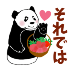 Panda of Riceball7