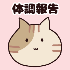 Cat senior physical condition sticker.