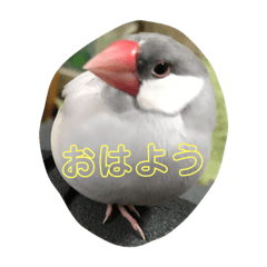 Natsumi_20220227200051