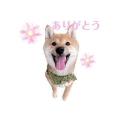 MIKI_20220227213109