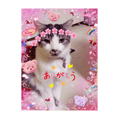 KAORI_20220228091624
