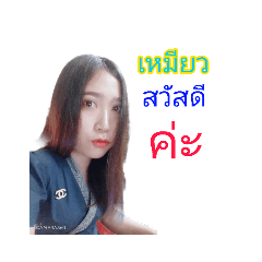 Meaw_29071992