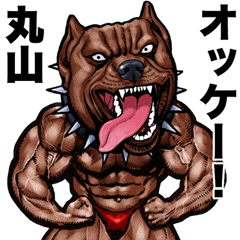 Maruyama dedicated Muscle macho animal