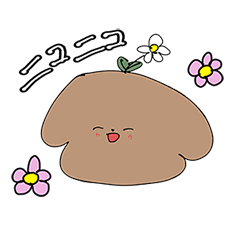 Chiconokimochi