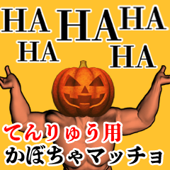 Tenryuu Pumpkin macho