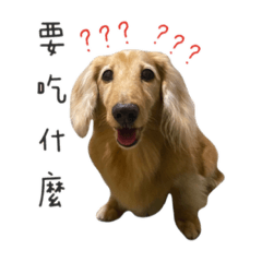 Mica腸腸沒事做～