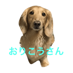honobonoKUNKUN