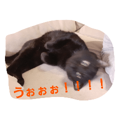 mugimuginyanko