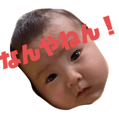 boss shosei