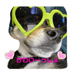 ai_20220228205506