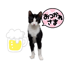 yuka_20220228212758