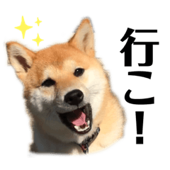 miki_20220228224326