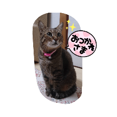 ayumi_20220301064008