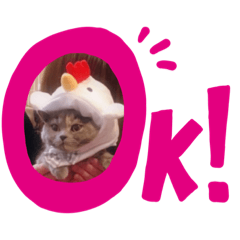 SHIHO_20220228153521