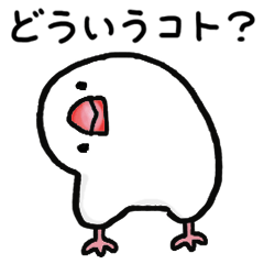 White Mochi Bird 3 / Everyday Stickers