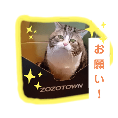 Natsumi_20220228213726