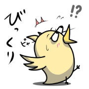 Chick everyday1
