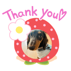 Pom tan_20220228171859