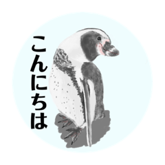 Kamiariduki_20220228220608
