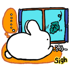 Cute daily life of a rabbit2