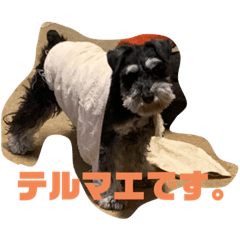 Matsu_20220228184757