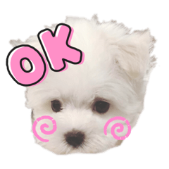 RUNAMOON_20220228184353 – LINE stickers | LINE STORE