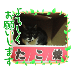 oyumi_20220301022403