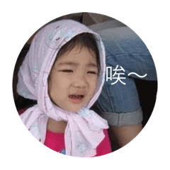 野豬將軍和他的隊友