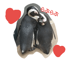 penguin word