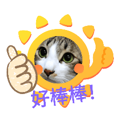 Meow Woof Meow (Praise & Troll)