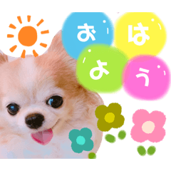 ask_20220228210312