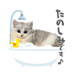 TAKI_20220226222727