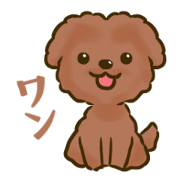 Toy poodle pet dog stamp