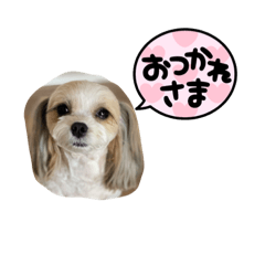 arisa_20220301142539